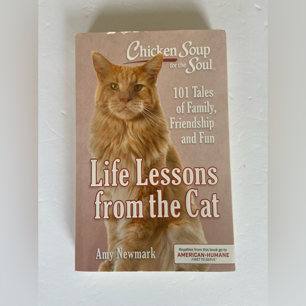 Chicken Soup for the Soul: Life Lessons from the Cat 101 Tales Trade Paperback